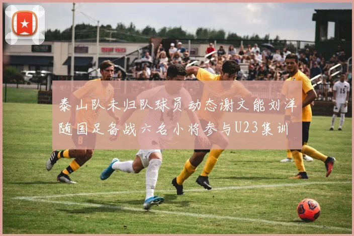 泰山队未归队球员动态谢文能刘洋随国足备战六名小将参与U23集训